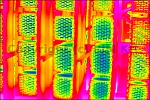 Nagy�t�s